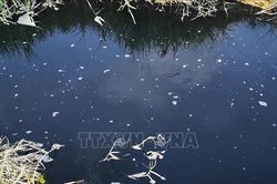 Xử phạt doanh nghiệp xả nước thải không đạt quy chuẩn ra môi trường