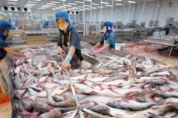 Tín hiệu tích cực trong xuất khẩu thủy sản