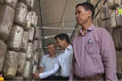 Thanh niên xung phong trên mặt trận kinh tế
