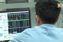 VN-Index bùng nổ, tăng mạnh nhất từ đầu năm đến nay