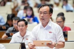 Đại biểu Quốc hội: Việc phân biệt dự án công, dự án tư dẫn đến tình trạng 'đất 2 giá'