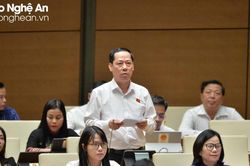 Đại biểu Quốc hội đoàn Nghệ An đề nghị sửa đổi Luật Đất đai cần có quy định xử lý đối với các thửa đất được cấp không đúng thẩm quyền