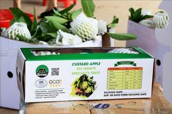 Đưa sản phẩm OCOP Tây Ninh vươn xa
