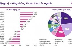EVS nêu 2 kịch bản thị trường tháng 11, VNIndex đi ngang tích lũy siết cung
