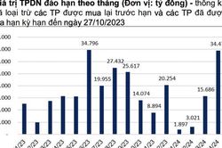 Khoảng 8.800 tỷ trái phiếu doanh nghiệp đáo hạn trong tháng 11, giảm 4 lần so với đỉnh điểm tháng 6
