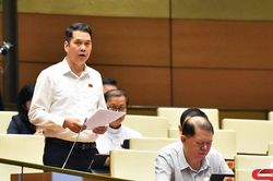 Đoàn đại biểu quốc hội tỉnh tham gia ý kiến Dự thảo Luật Đất đai (sửa đổi)