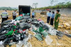 Tiêu hủy hàng hóa vi phạm trị giá 600 triệu đồng