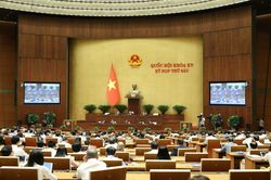 Phải có phương án sử dụng đất lúa khi nhận chuyển nhượng quá hạn mức