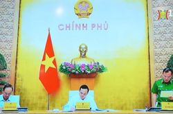 Thí điểm sát hạch, cấp giấy phép lái xe cho học sinh