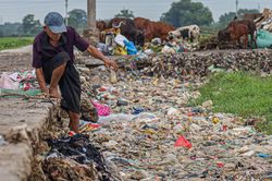 Chai nhựa, túi nylon đang hủy diệt môi trường ra sao?