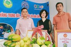 Hà Nội có 559 sản phẩm đã đăng ký đánh giá, phân hạng OCOP