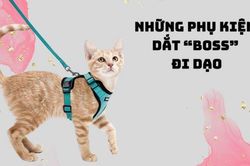 6 món đồ có thể giúp bạn dắt 'boss' đi chơi vừa an toàn mà cũng rất thời trang