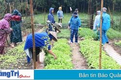 Hướng đến một lực lượng lao động nông thôn vững tay nghề