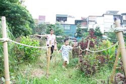 Dự án cây xanh trong phố xóa điểm đen bãi rác