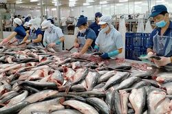 Sau khi sụt giảm sâu, xuất nhập khẩu lấy lại đà tăng tốc