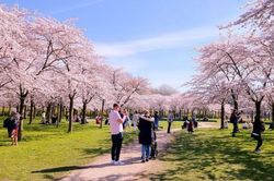Amsterdam muốn giảm tải khách du lịch