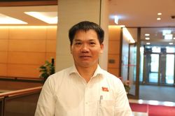 ĐBQH: Phải giảm được khiếu kiện đất đai khi thông qua Luật