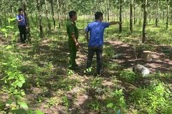 Mâu thuẫn trong cạo mủ cao su, 2 anh em ruột đánh nhau thương vong