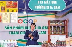 Đưa sản phẩm OCOP Gia Lai hòa vào 'biển lớn'