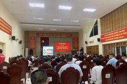 Việc chưa từng có: Xuyên đêm đấu giá 3 mỏ cát tại Hà Nội, giá trúng cao gấp 200 lần khởi điểm
