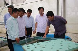 Huyện Lấp Vò đồng hành cùng sự phát triển của cộng đồng doanh nghiệp