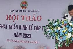 Kiên Giang: 'Giải pháp phát triển kinh tế tập thể bền vững'