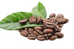 Bí kíp phân biệt vị của cafe hạt