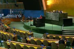Việt Nam nêu bật vai trò của ICJ trong nỗ lực chống biến đổi khí hậu