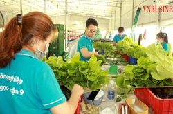 'HTX và sản phẩm OCOP như chim sẻ cần được các địa phương ấp ủ để lớn'