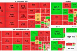 Thanh khoản sụt giảm, VN-Index lần đầu mất điểm trong tháng 11