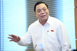 Phải có chế tài để ngăn tình trạng người đấu giá trả giá cao nhưng khi trúng thì lại 'bùng'