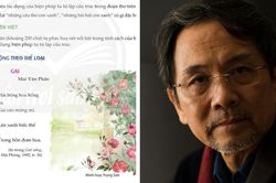 Nhà thơ Mai Văn Phấn: 'Nhìn thấy những dịch chuyển của bông hoa…'