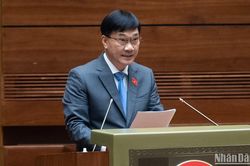 Ngăn tình trạng trả giá cao bất thường rồi bỏ cọc, gây lũng đoạn thị trường