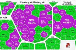 Chứng khoán đồng thuận, thị trường bùng nổ theo đà