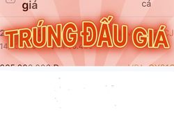 Đấu giá biển số sáng 8/11: Biển 'sảnh tiến' Bắc Ninh giá chỉ 125 triệu đồng