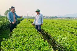 Bổ sung 240 tỷ đồng vốn cho vay giải quyết việc làm