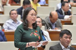 ĐBQH đề nghị phạt nặng người trúng đấu giá biển số đẹp, đất đai nhưng bỏ cọc