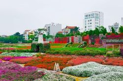 Nhật Tân được công nhận là khu du lịch cấp thành phố