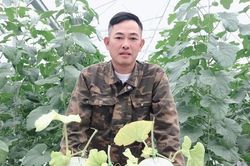 Hải Dương: Một huyện có 666 hộ trở thành 'tỷ phú' nông dân