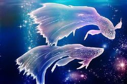 Tử vi 12 cung hoàng đạo ngày 10/11/2023: Nhân Mã, Song Ngư tình cảm thăng hoa