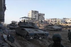 Tổng thư ký NATO ủng hộ ngừng bắn nhân đạo tại Gaza