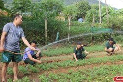Phát huy phẩm chất 'Bộ đội Cụ Hồ'