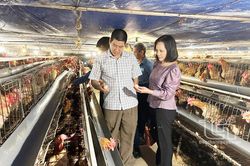TP. Thái Nguyên: Trên 3.700 hội viên nông dân được vay vốn ưu đãi
