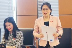 Thành lập Tòa án Nhân dân sơ thẩm chuyên biệt phải lập Đề án trình Ủy ban Thường vụ Quốc hội quyết định