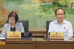 Linh hoạt đối tượng và minh bạch trong đấu giá