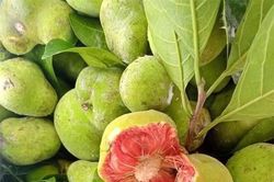Loại quả vị chua chua, ruột hồng bắt mắt giá ngang trái cây nhập khẩu ở Hà Nội vẫn đắt khách