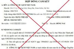 Cảnh giác lừa đảo bán tour du lịch 'nở rộ' dịp cuối năm
