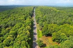 Đồng Nai: Sẽ có khu nghỉ dưỡng trong rừng phòng hộ Tân Phú