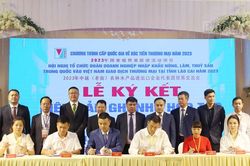 Hội nghị tổ chức Đoàn doanh nghiệp nhập khẩu nông - lâm - thủy sản Trung Quốc và Việt Nam giao dịch thương mại tại tỉnh Lào Cai năm 2023