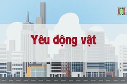Yêu động vật | Chuyện quanh ta | tập 226 | 10/11/2023